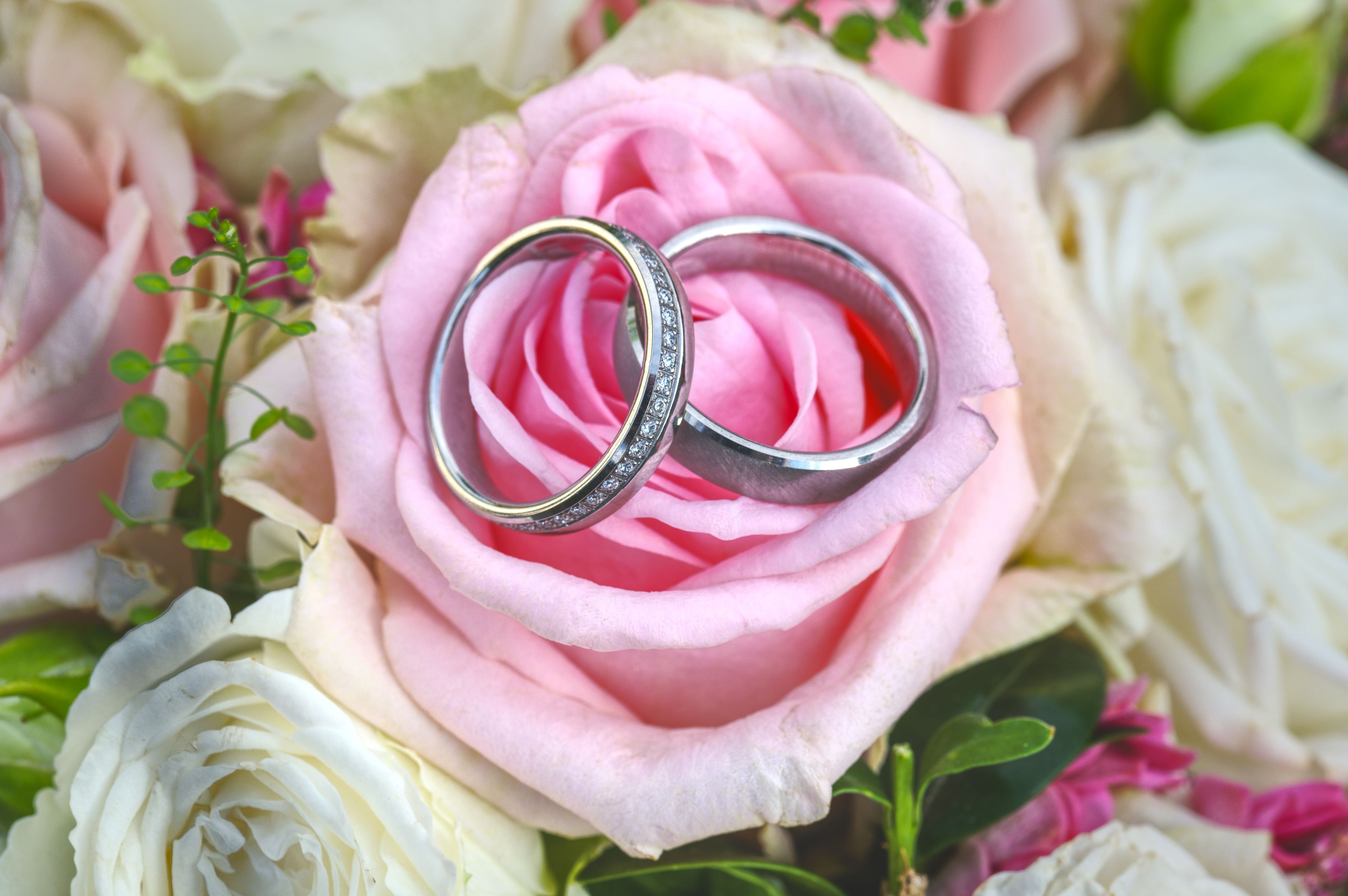 Fotograf in Kronberg - Nahaufnahme und Makro von Trauringen in Kronberg vom Hochzeitsfotografen eingefangen und bearbeitet