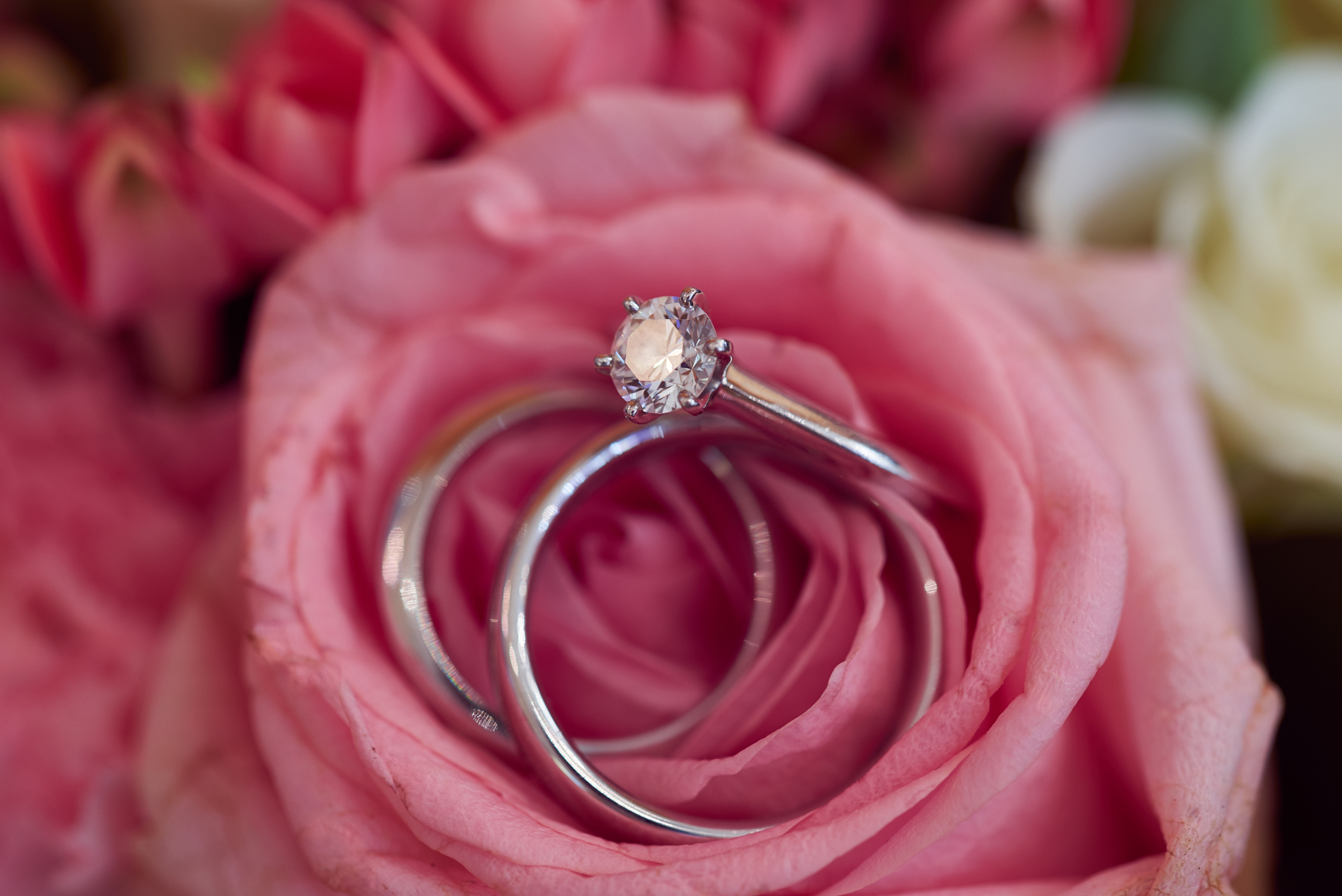 Fotograf in Kronberg - Hochzeit Ringbild in Makroaufnahme für Hochzeitspaar und Trauungen - Hochzeitsdokumentation
